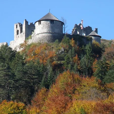 Ferienhaeuschen Kathrein 펜션 Ehenbichl