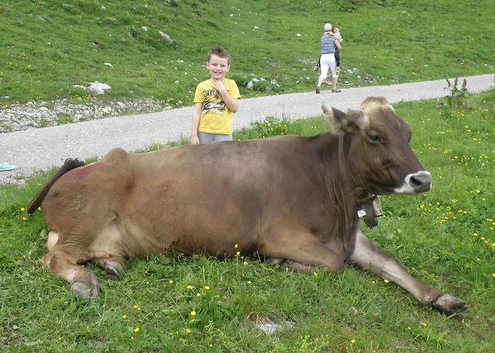 Ferienhauschen Kathrein * Ehenbichl