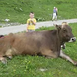 Ferienhaeuschen Kathrein * Ehenbichl