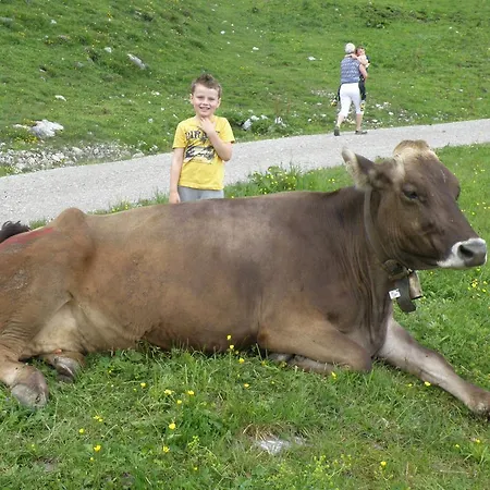 凯瑟琳度假屋 * Ehenbichl